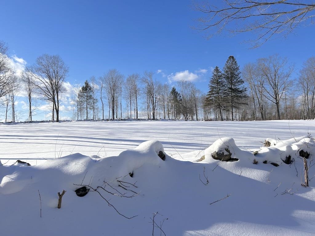 Woodward Hill Road Francestown, NH 03043 - Photo 5 of 14 Gallery Image 5