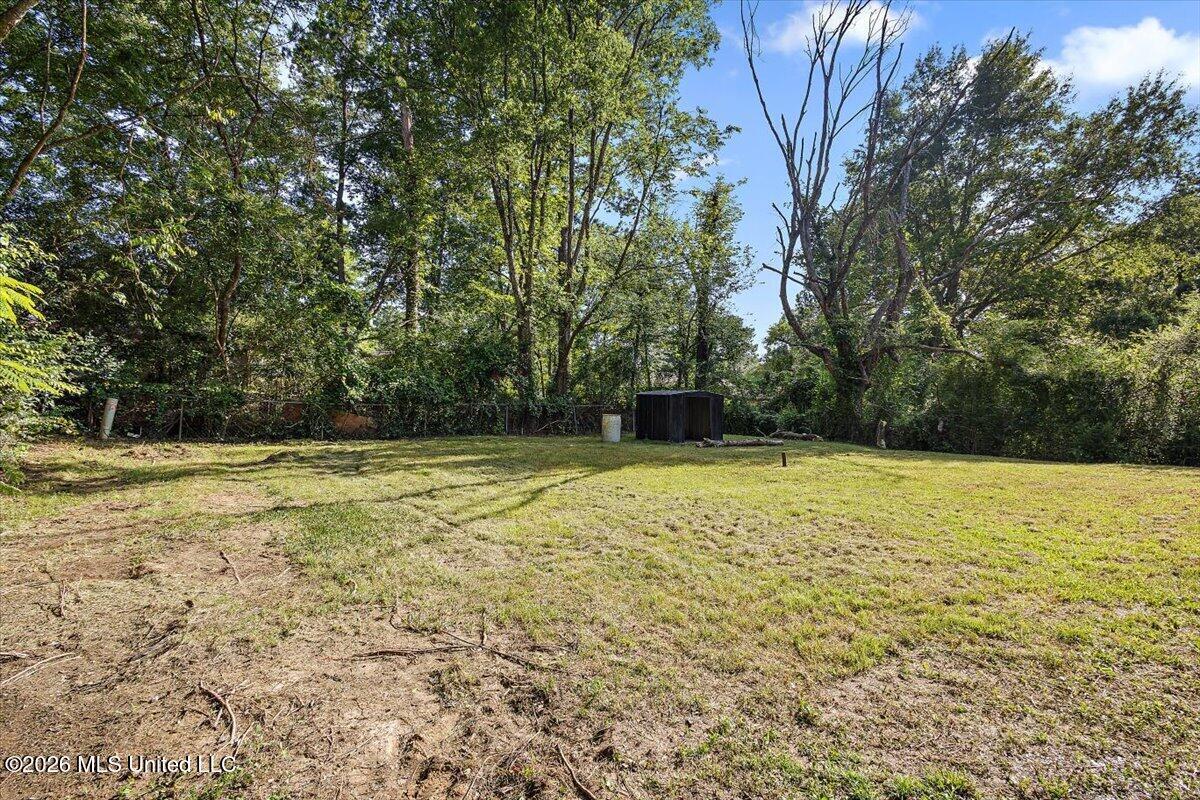 3723 John Adams Road Jackson, MS 39213 - Photo 21 of 21 Backyard