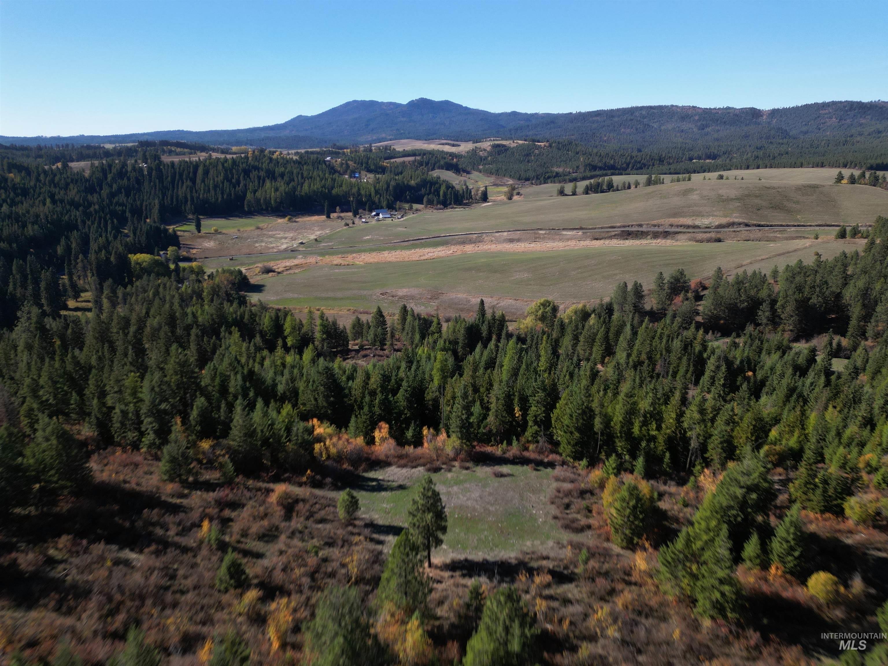 0 Spring Valley Road Troy, ID 83871 - Photo 11 of 21