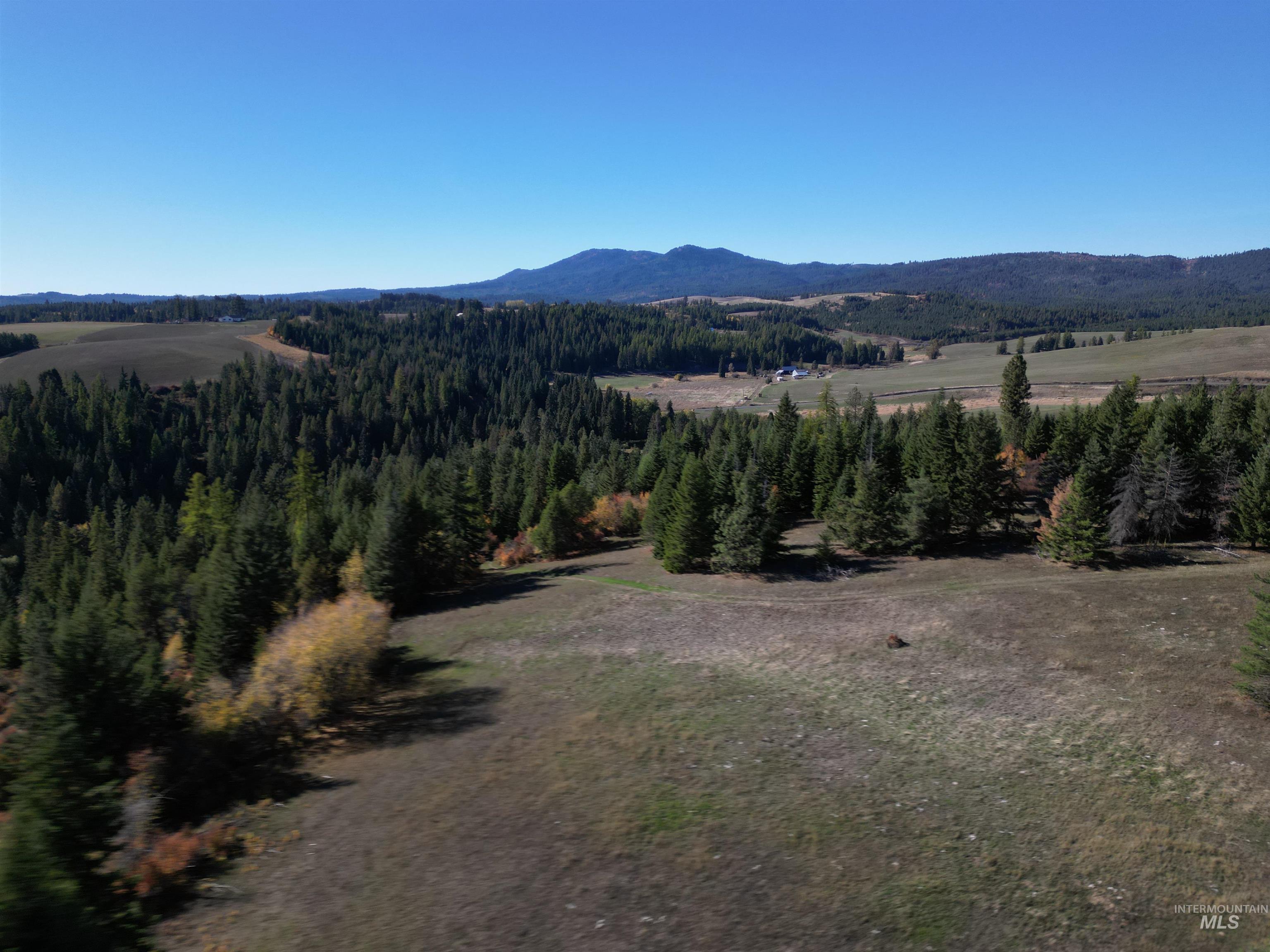 0 Spring Valley Road Troy, ID 83871 - Photo 12 of 21