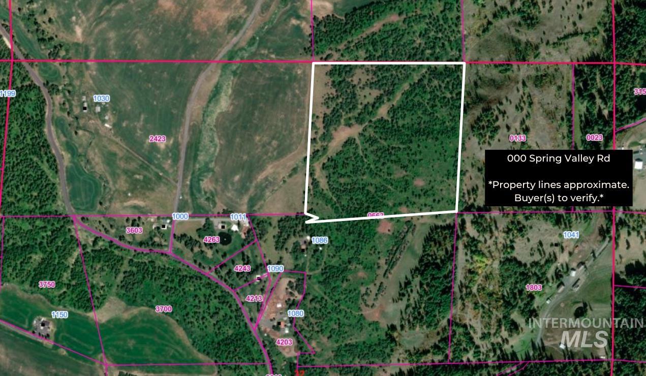 0 Spring Valley Road Troy, ID 83871 - Photo 2 of 21