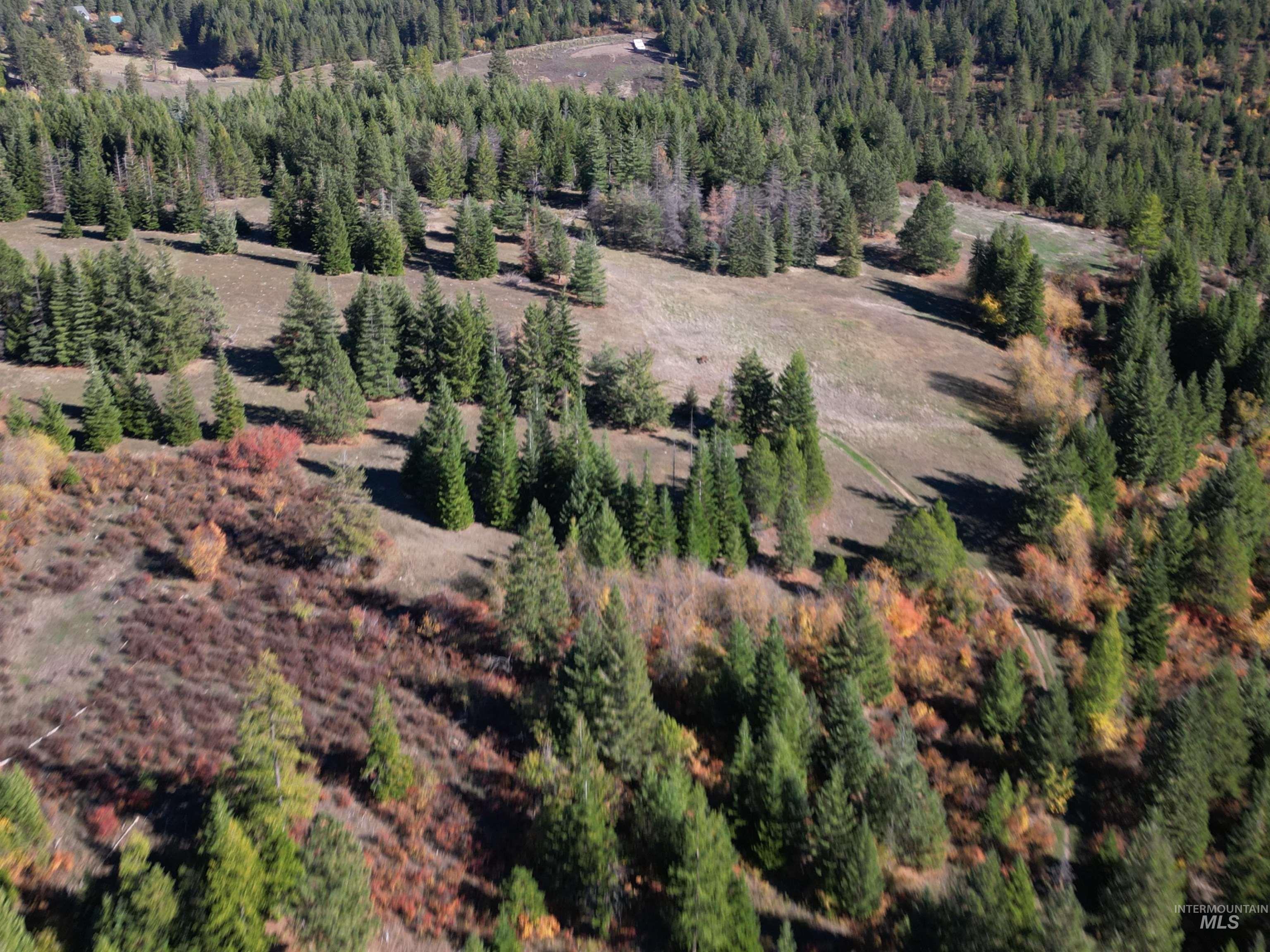 0 Spring Valley Road Troy, ID 83871 - Photo 21 of 21