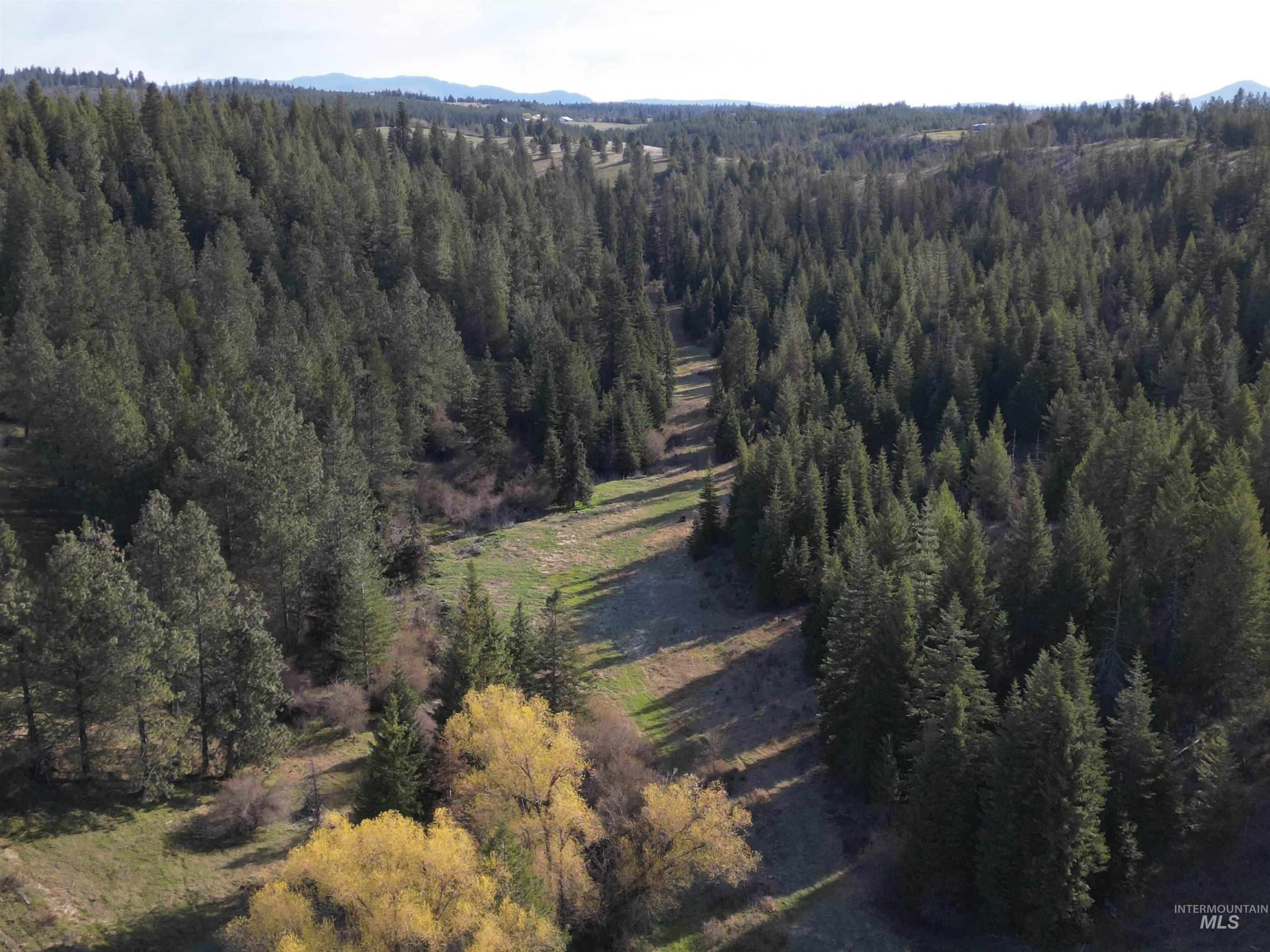 0 Spring Valley Road Troy, ID 83871 - Photo 3 of 21