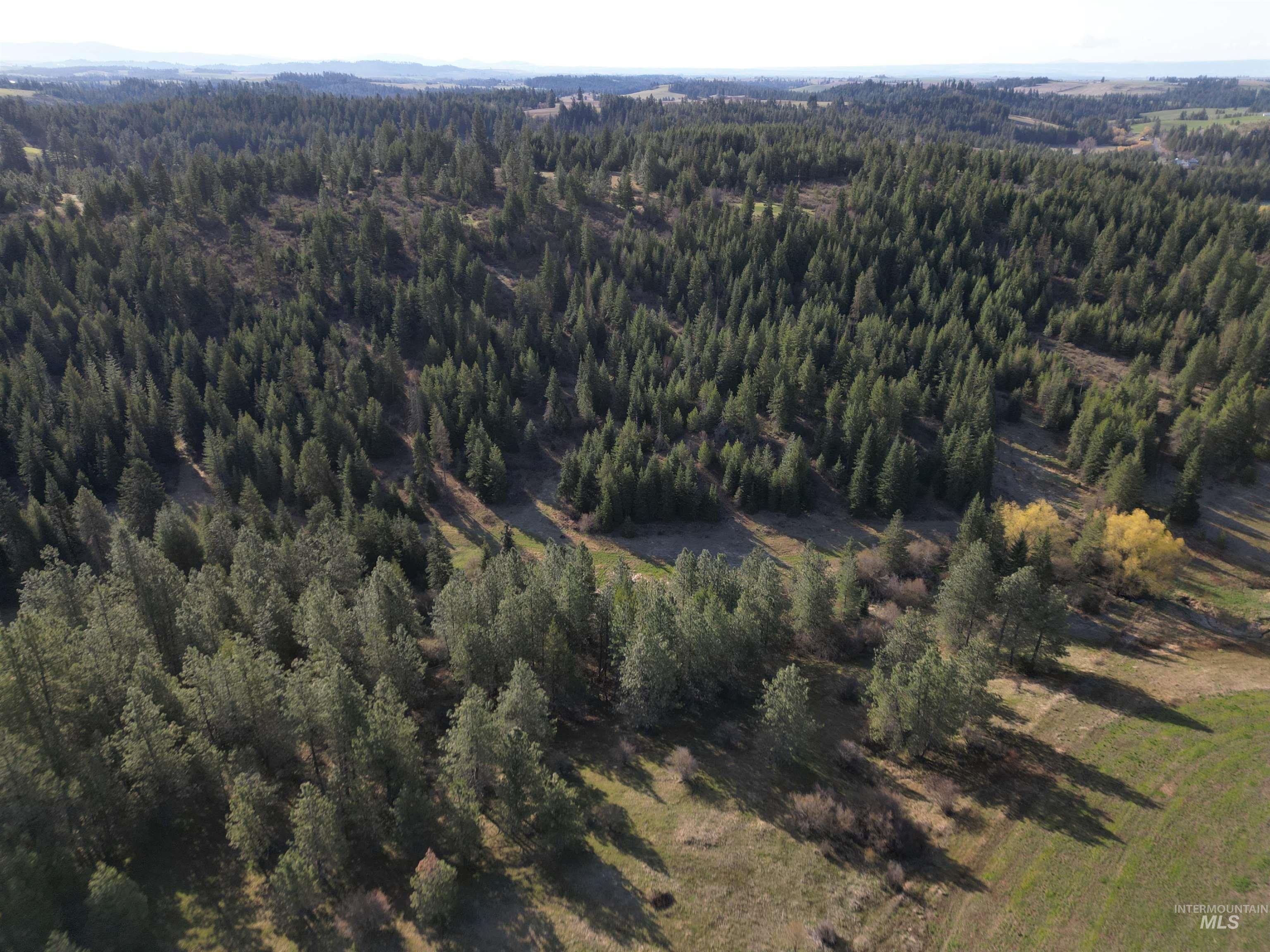 0 Spring Valley Road Troy, ID 83871 - Photo 8 of 21