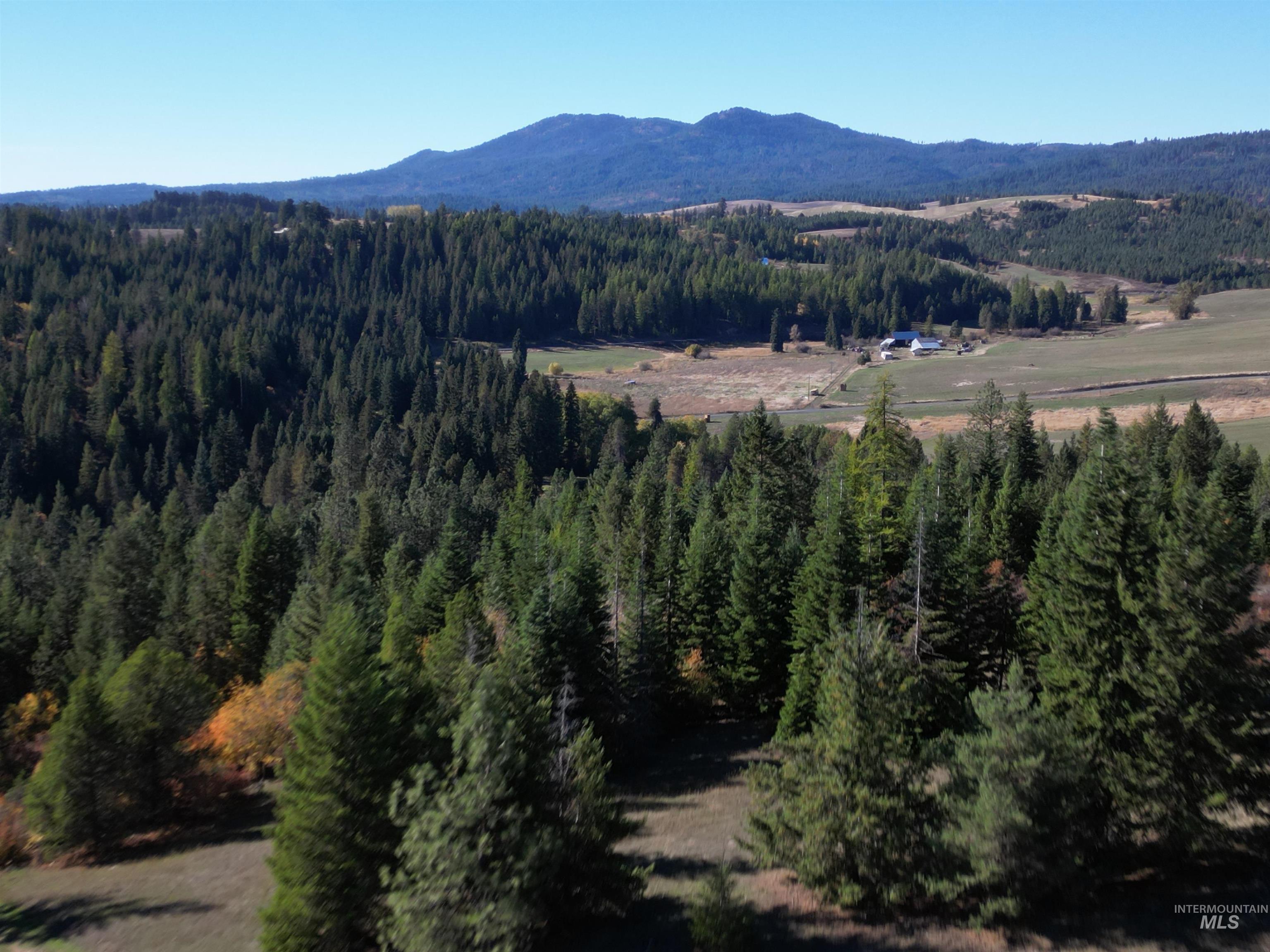 0 Spring Valley Road Troy, ID 83871 - Photo 10 of 21