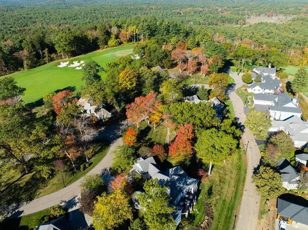 a view of a garden with a tree