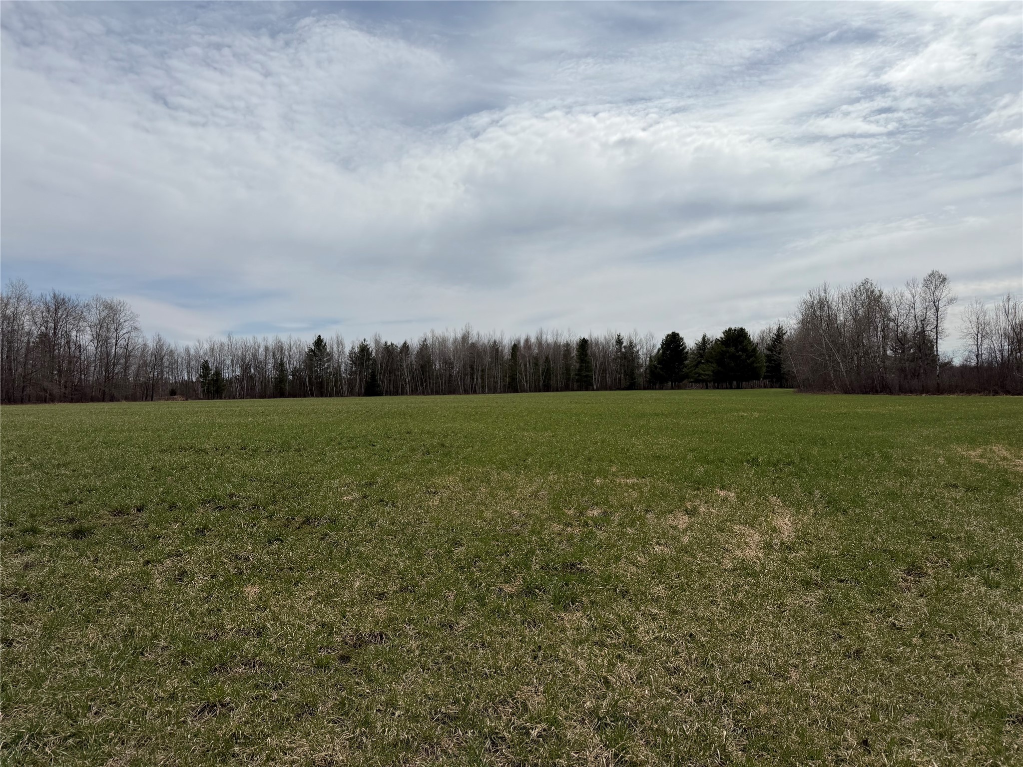 N4280 County Road East Bruce, WI 54819 - Photo 26 of 49