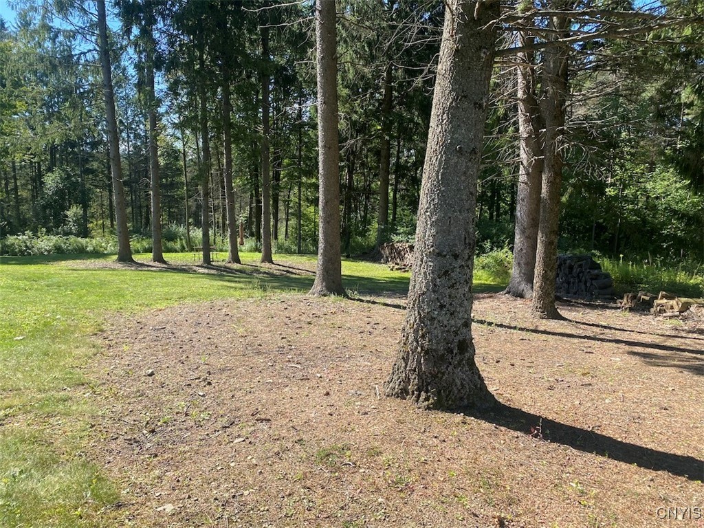 2327 Turnpike Road West Almond, NY 14804 - Photo 28 of 37