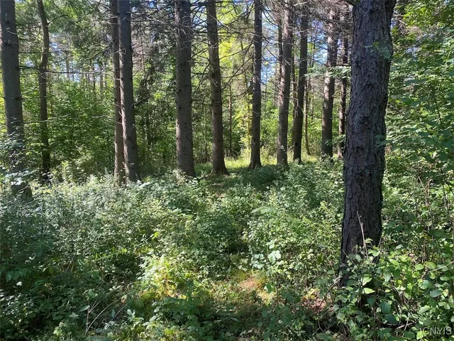 $200,000 | 2327 Turnpike Road, West Almond, NY 14804