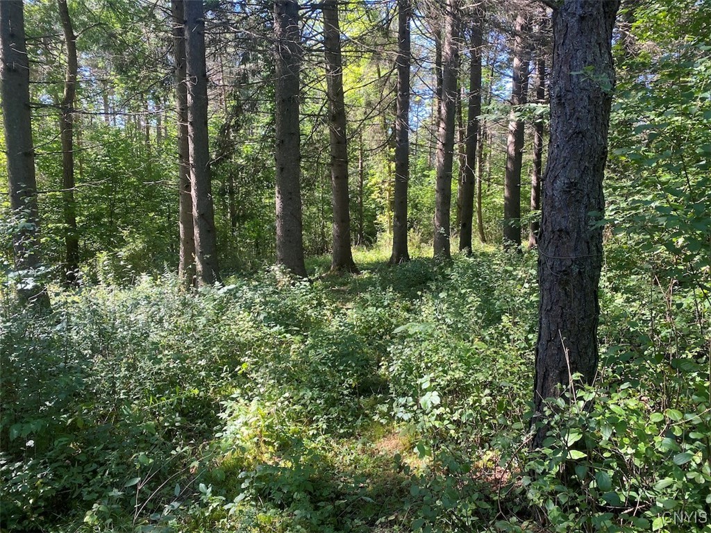 2327 Turnpike Road West Almond, NY 14804 - Photo 31 of 37