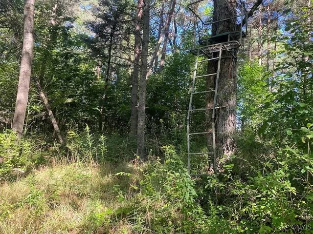 $200,000 | 2327 Turnpike Road, West Almond, NY 14804