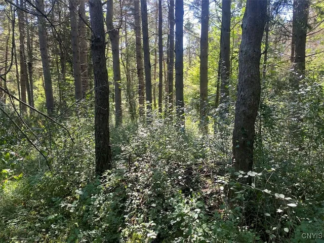 $200,000 | 2327 Turnpike Road, West Almond, NY 14804