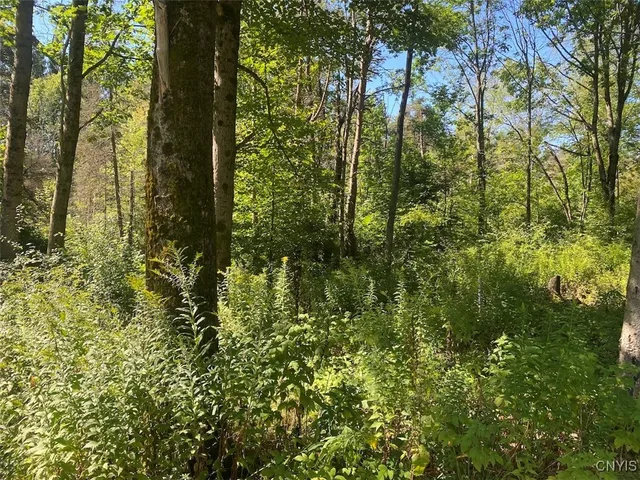 $200,000 | 2327 Turnpike Road, West Almond, NY 14804