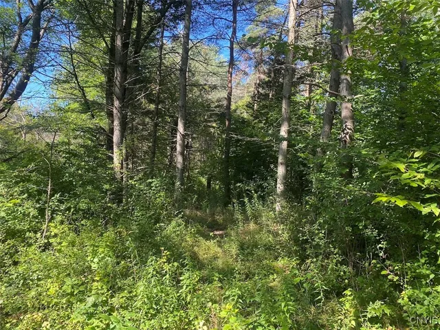 $200,000 | 2327 Turnpike Road, West Almond, NY 14804