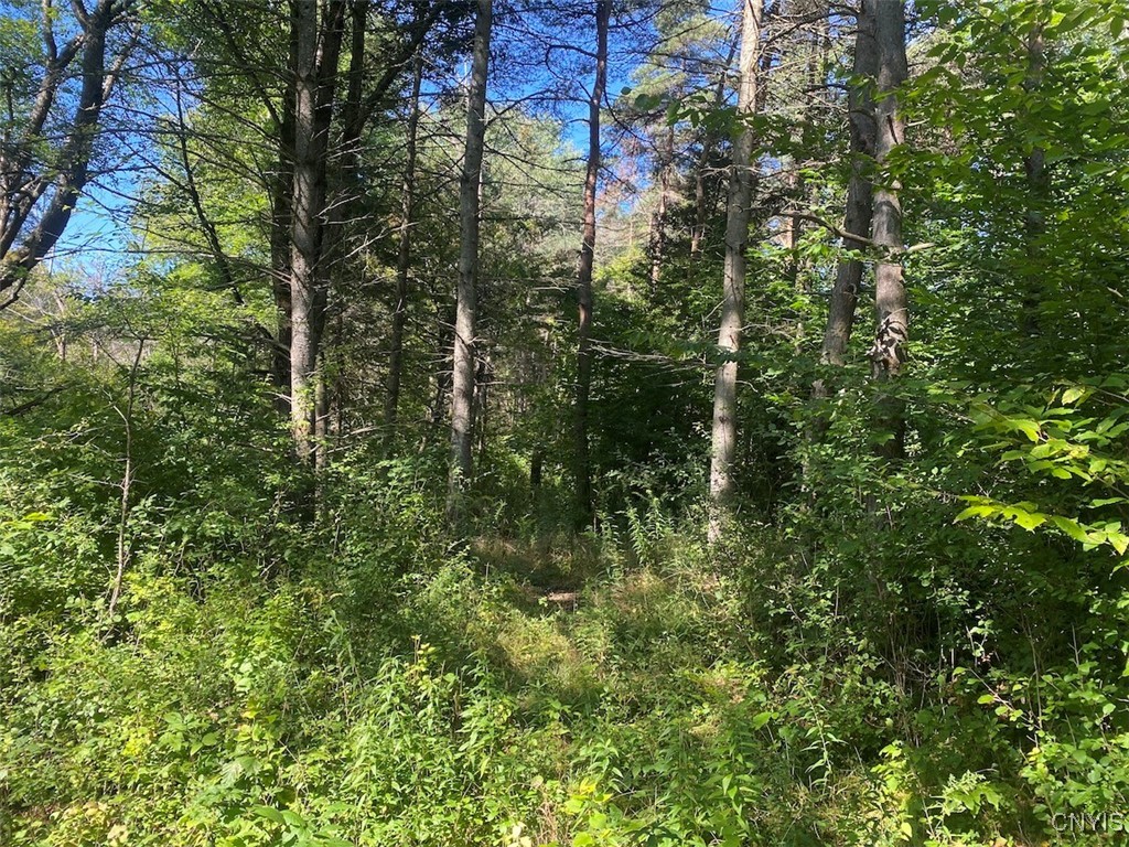 2327 Turnpike Road West Almond, NY 14804 - Photo 35 of 37