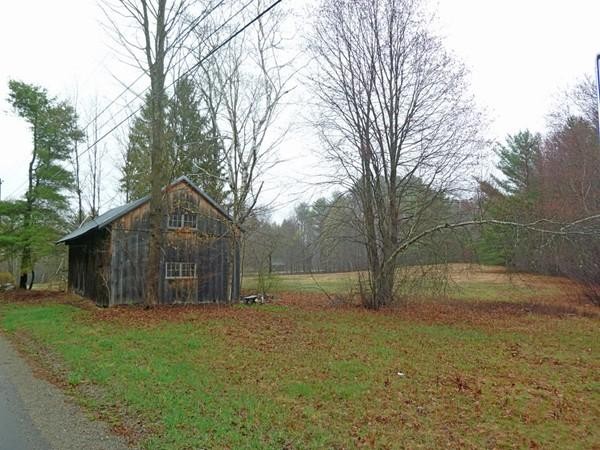 0 Cave Hill Road Leverett, MA 01054 - Photo 4 of 6 a view of backyard with large trees