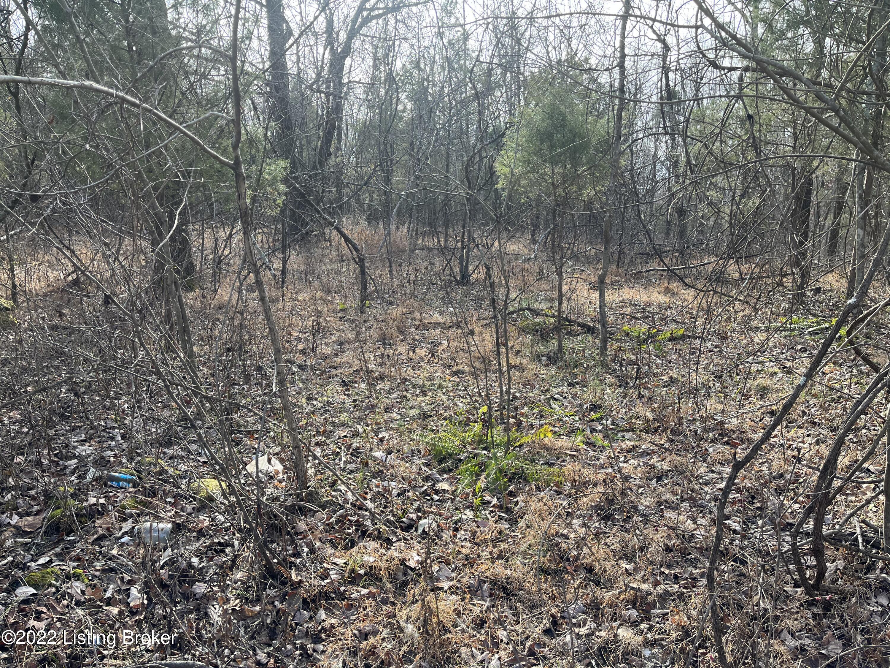 0 Free Zion Church Road Horse Branch, KY 42349 - Photo 6 of 19 IMG_4388