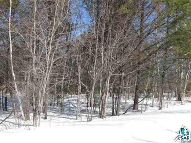 - North Grassy Road Ely, MN 55731 - Photo 4 of 6