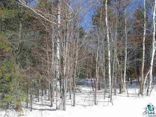 - North Grassy Road Ely, MN 55731 - Photo 5 of 6
