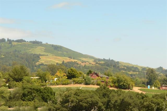 140 Smith Road Watsonville, CA 95076 - Photo 11 of 34 Gallery Image 11