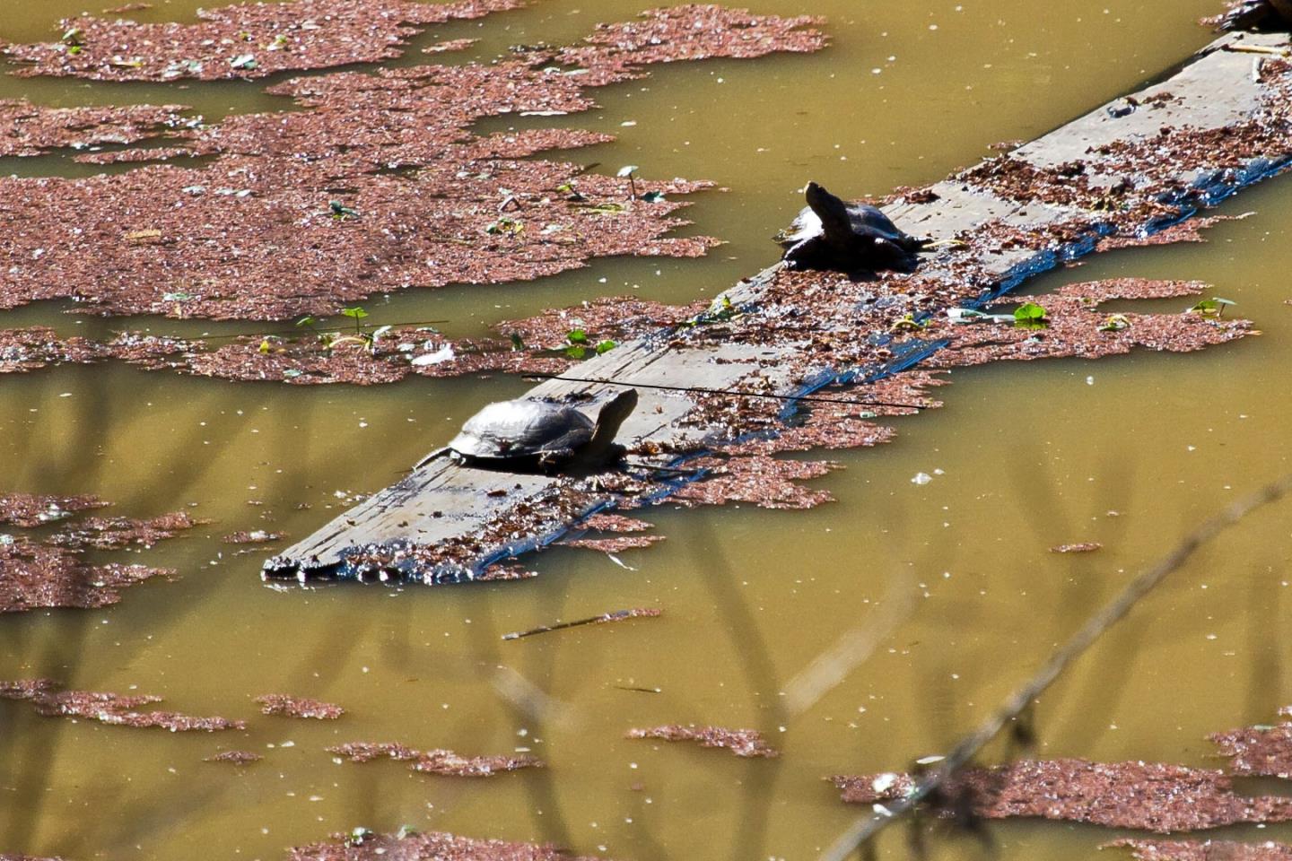 140 Smith Road Watsonville, CA 95076 - Photo 34 of 34 Gallery Image 34