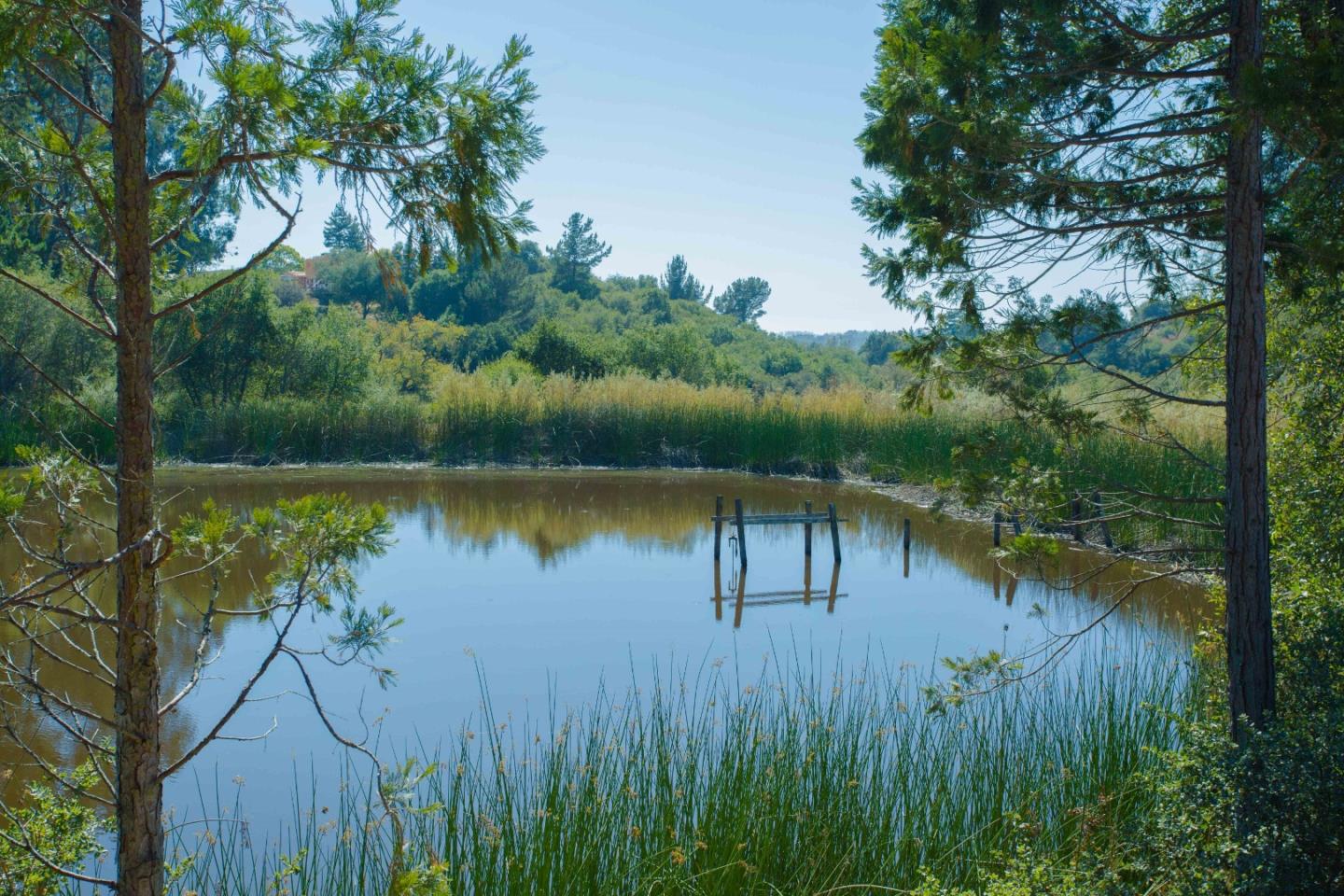 140 Smith Road Watsonville, CA 95076 - Photo 7 of 34 Gallery Image 7
