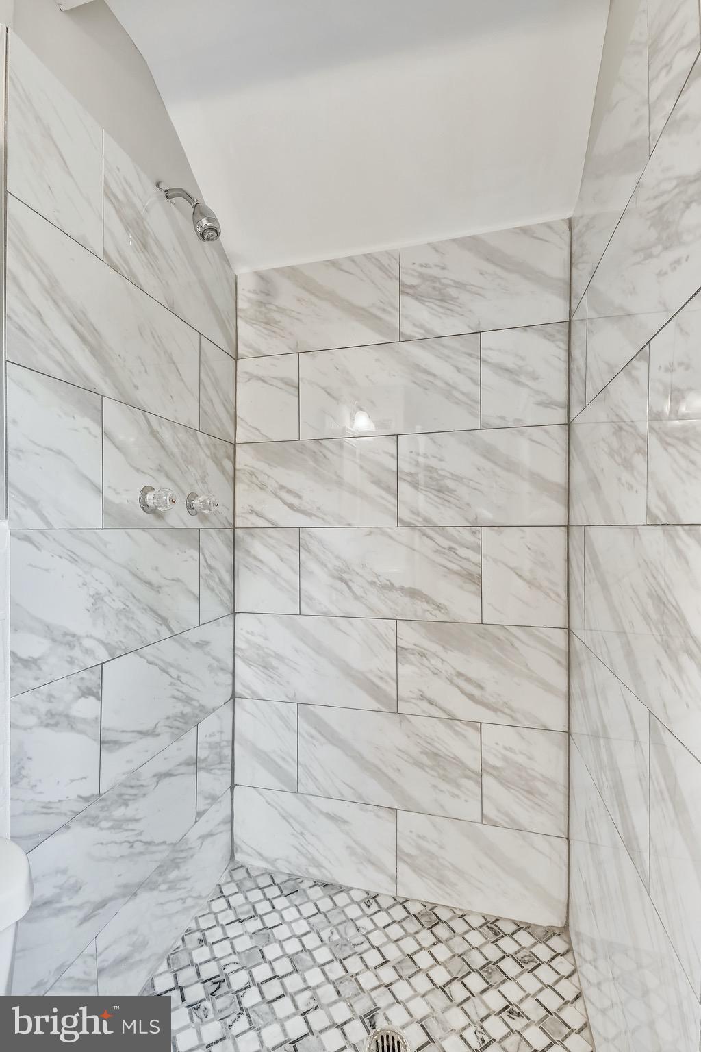 10108 Pierce Drive Silver Spring, MD 20901 - Photo 28 of 64 master shower