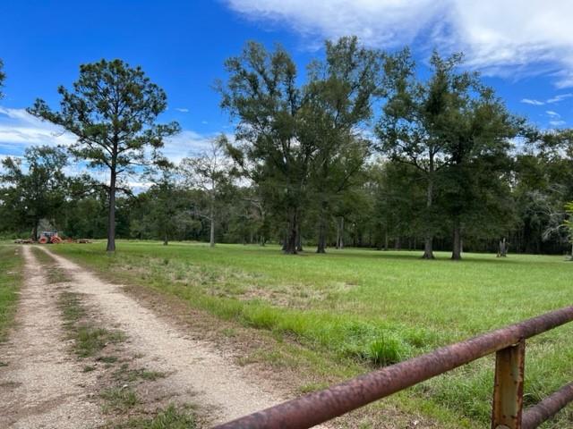 55064 Hano Road Independence, LA 70443 - Photo 1 of 38 Gallery Image 1