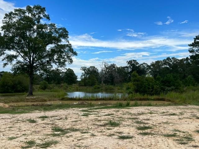 55064 Hano Road Independence, LA 70443 - Photo 15 of 38 Gallery Image 15