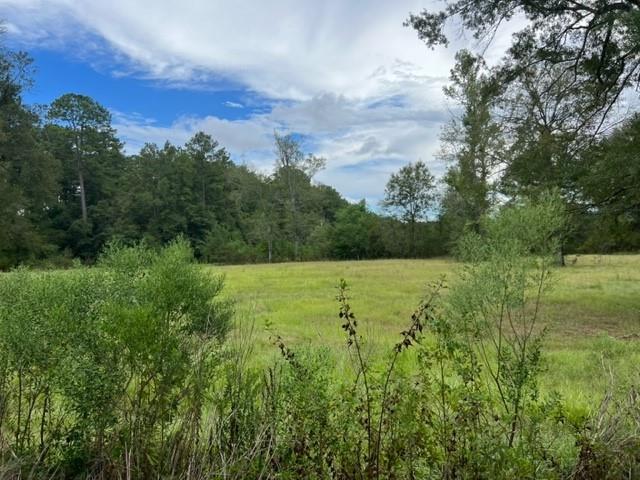 55064 Hano Road Independence, LA 70443 - Photo 17 of 38 Gallery Image 17