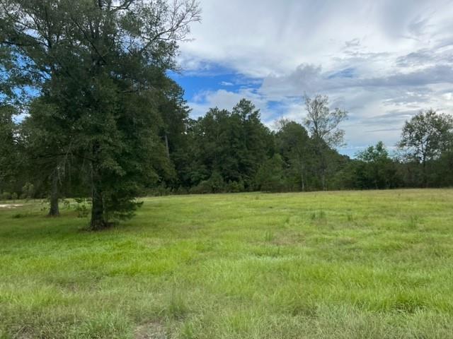55064 Hano Road Independence, LA 70443 - Photo 19 of 38 Gallery Image 19