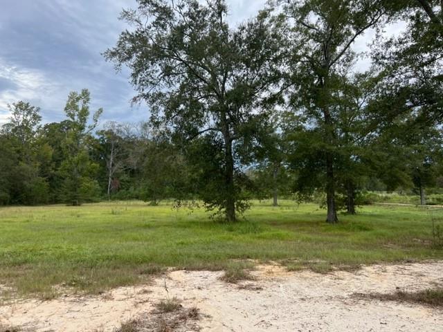 55064 Hano Road Independence, LA 70443 - Photo 20 of 38 Gallery Image 20