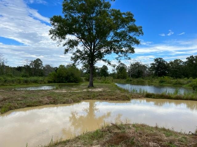 55064 Hano Road Independence, LA 70443 - Photo 2 of 38 Gallery Image 2