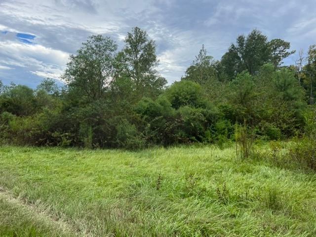 55064 Hano Road Independence, LA 70443 - Photo 21 of 38 Gallery Image 21