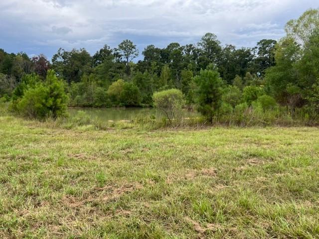 55064 Hano Road Independence, LA 70443 - Photo 22 of 38 Gallery Image 22