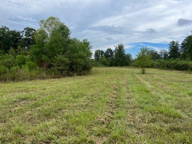 55064 Hano Road Independence, LA 70443 - Photo 23 of 38 Gallery Image 23