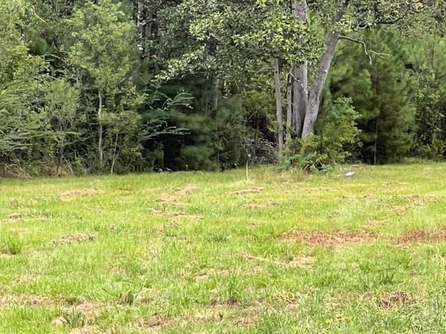 55064 Hano Road Independence, LA 70443 - Photo 26 of 38 Gallery Image 26