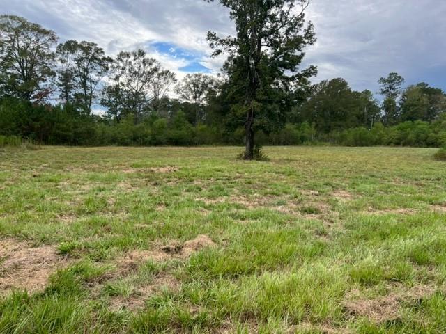 55064 Hano Road Independence, LA 70443 - Photo 27 of 38 Gallery Image 27