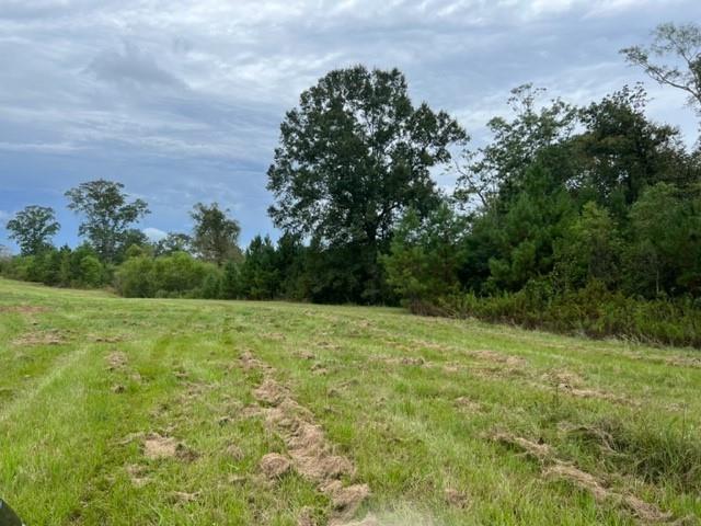 55064 Hano Road Independence, LA 70443 - Photo 30 of 38 Gallery Image 30