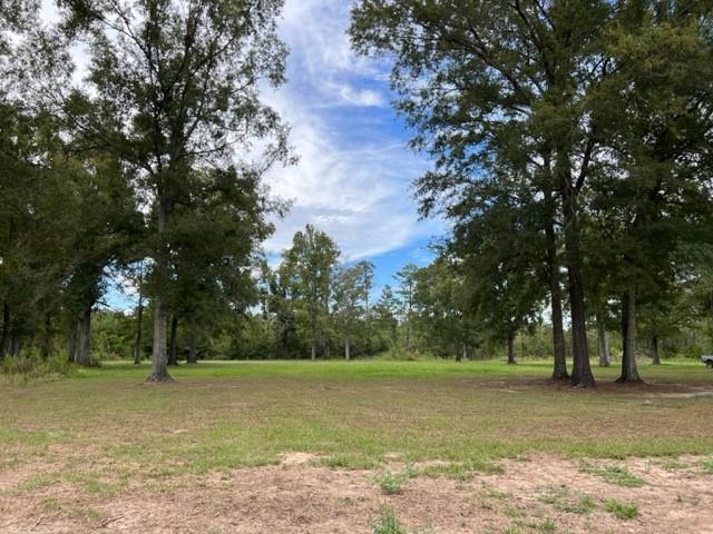 55064 Hano Road Independence, LA 70443 - Photo 3 of 38 Gallery Image 3