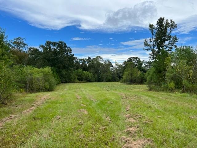55064 Hano Road Independence, LA 70443 - Photo 36 of 38 Gallery Image 36