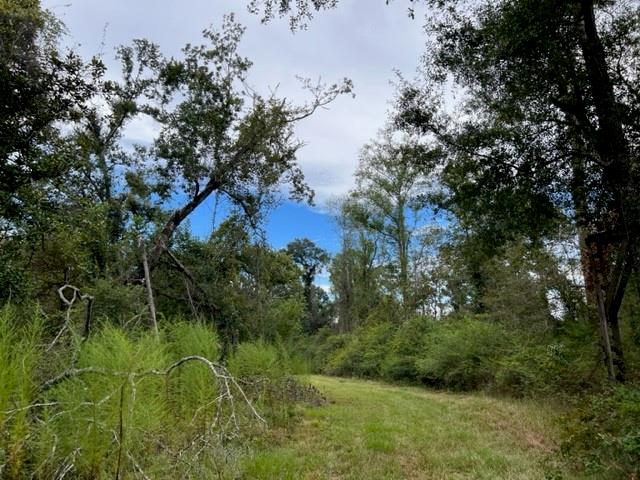 55064 Hano Road Independence, LA 70443 - Photo 37 of 38 Gallery Image 37