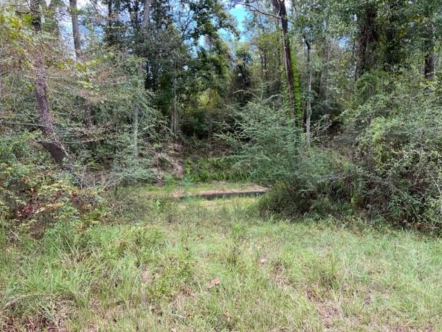 55064 Hano Road Independence, LA 70443 - Photo 38 of 38 Gallery Image 38