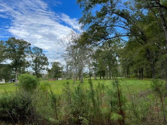 55064 Hano Road Independence, LA 70443 - Photo 5 of 38 Gallery Image 5