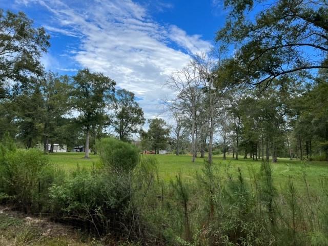 55064 Hano Road Independence, LA 70443 - Photo 6 of 38 Gallery Image 6