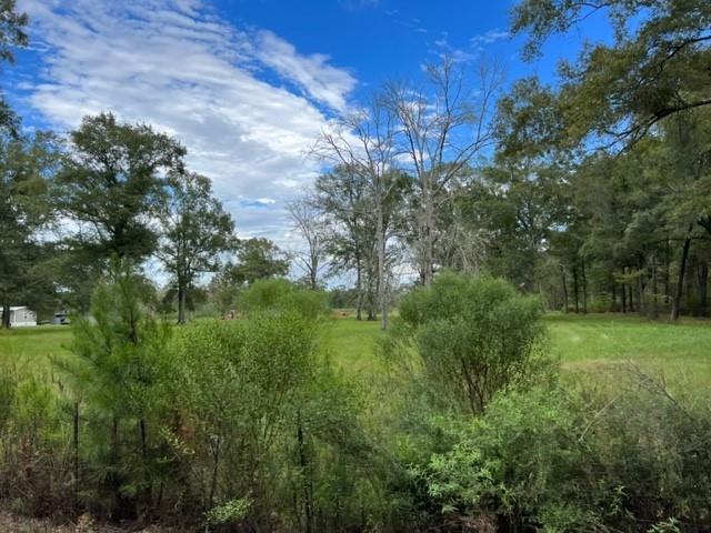 55064 Hano Road Independence, LA 70443 - Photo 7 of 38 Gallery Image 7