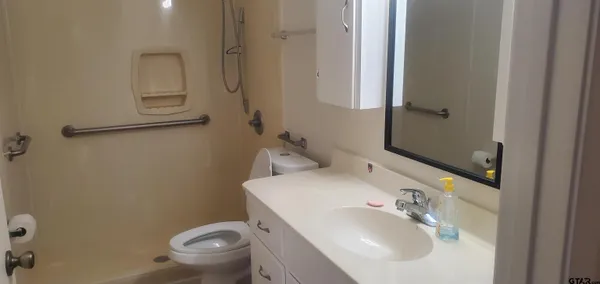 a bathroom with a sink toilet and vanity