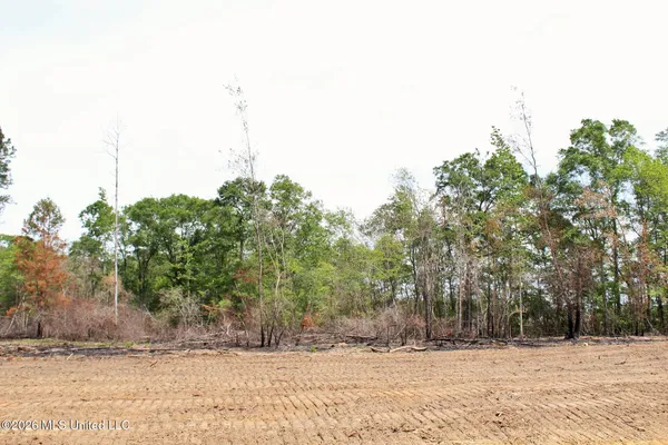 $54,900 | 3.78-ac Cottonwood Drive, Lucedale, MS 39452