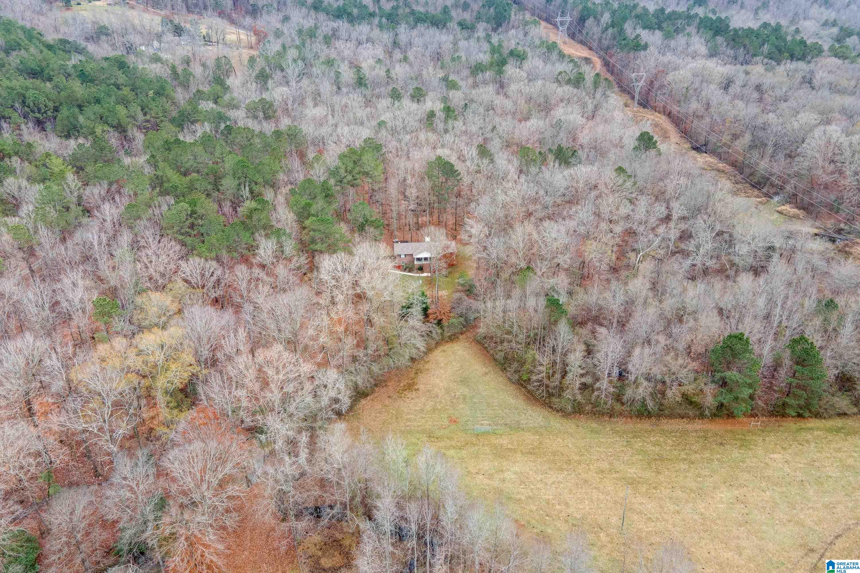 384 Moss Rock Trail Sterrett, AL 35147 - Photo 9 of 47