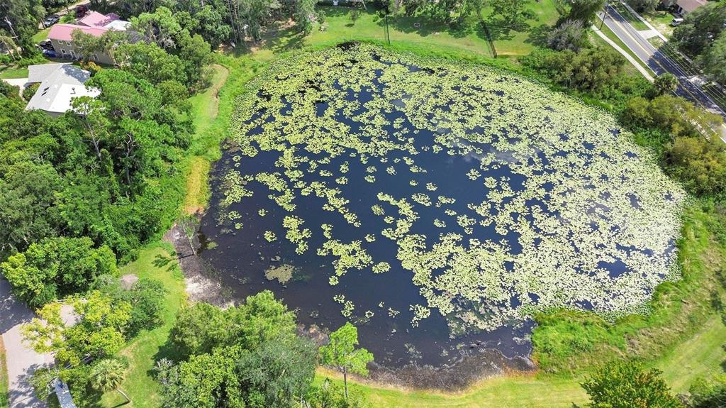 164 Estella Road Lake Mary, FL 32746 - Photo 45 of 46 Gallery Image 45